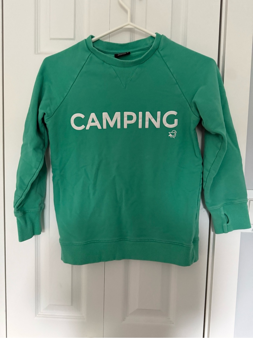 Teal Birdz camping Crewneck Sweatshirt - Teal
